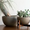 modernica-casestudy_ceramics-table-top-bowl-woodstand_1_1